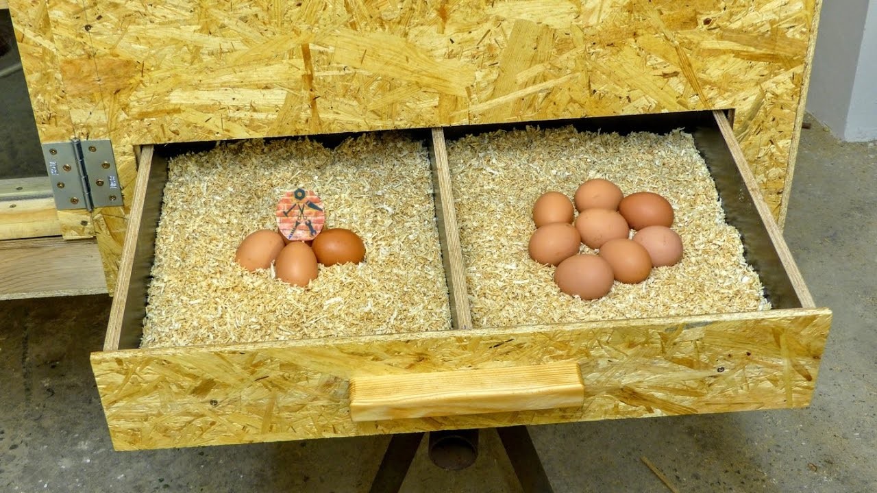 Kurník - 2.část - Výroba. DIY Hen house. Chicken coop - Part 2 - Building