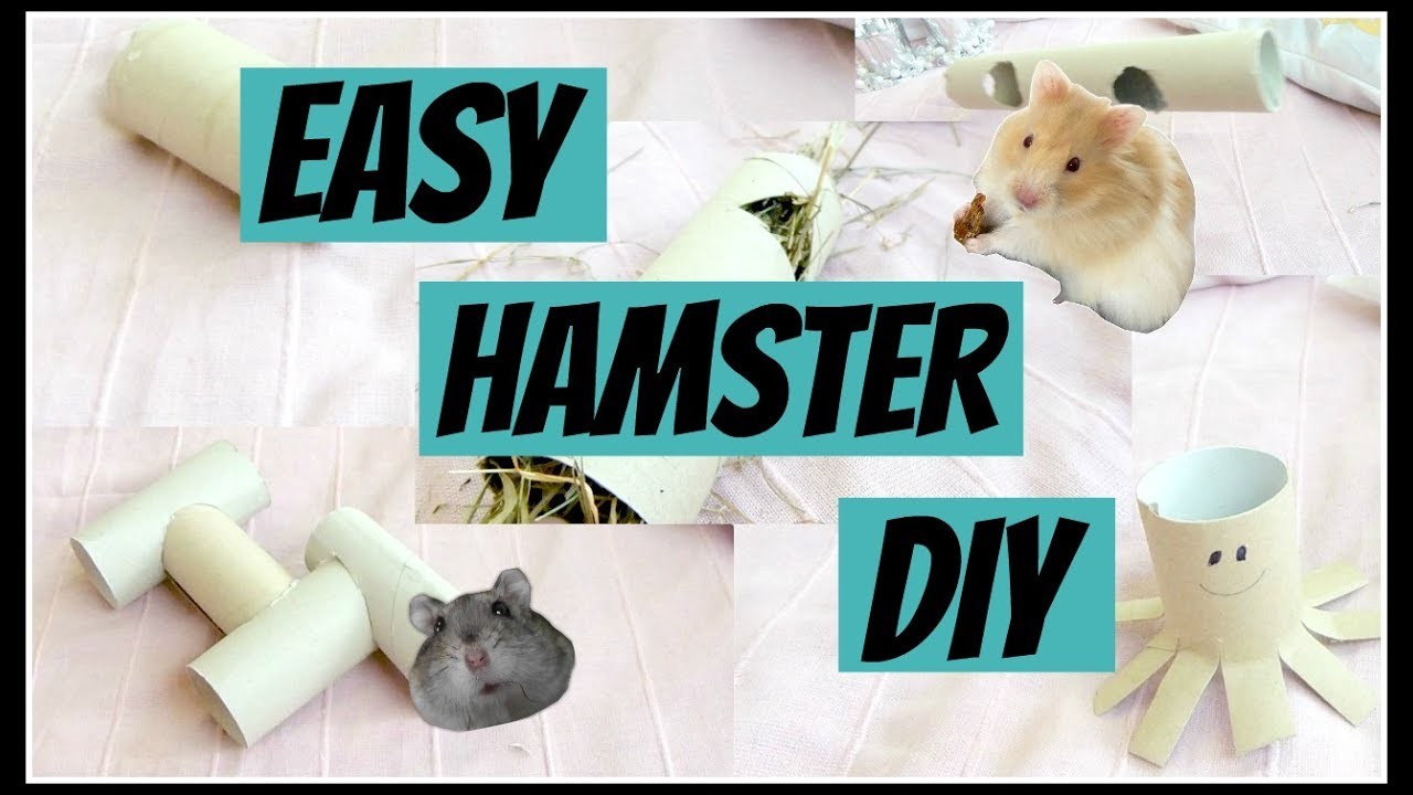 5 Easy Hamster DIY | Hračky z papírových roliček