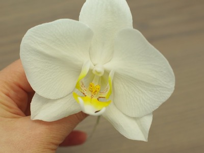 3.  Sugar Phalaenopsis Orchid Tutorial. Návod na modelování orchideje phalaenopsis z cukrové hmoty.
