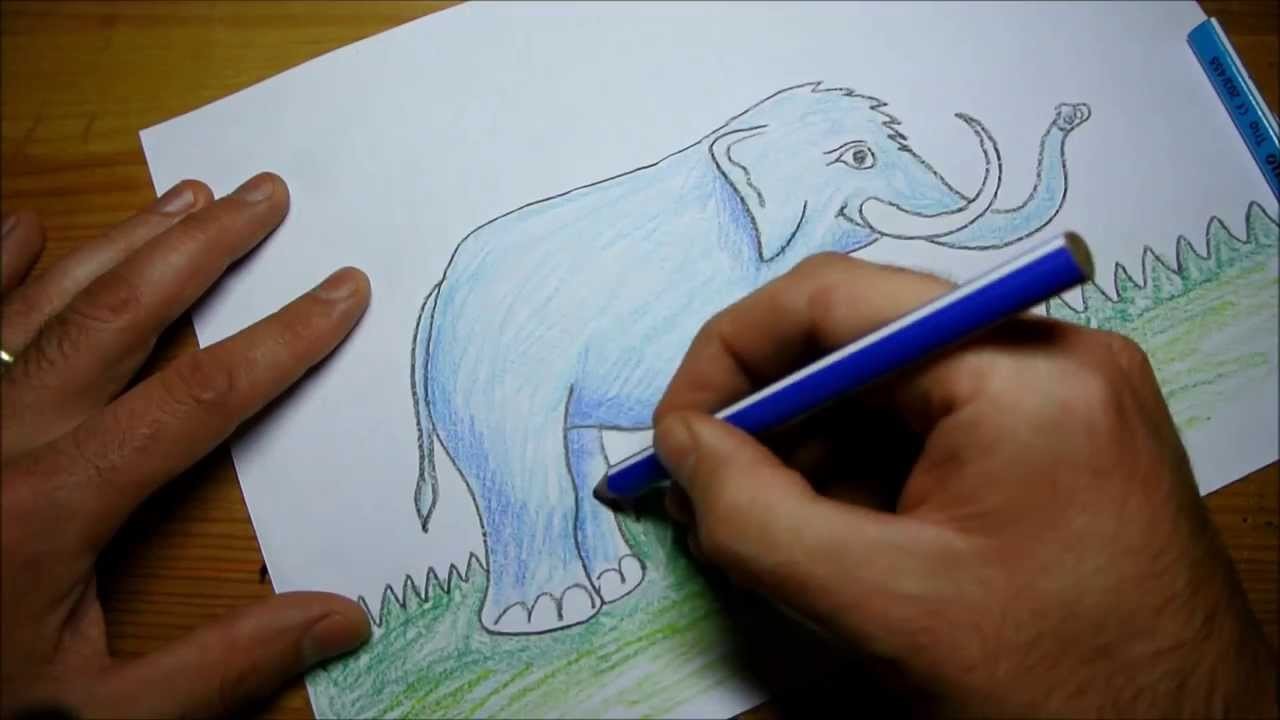 How to Draw an Elephant (for Kids)
