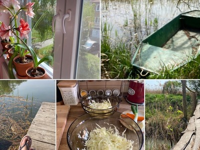 Vlog - výlet k rybníkům, kysané zelí, myju okna, deníček. 