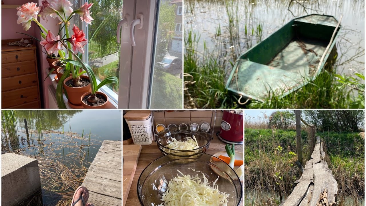 Vlog - výlet k rybníkům, kysané zelí, myju okna, deníček. 