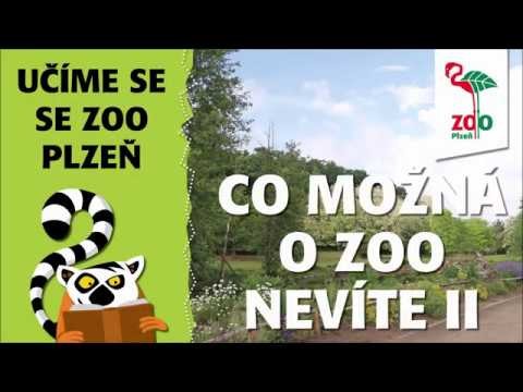 Co možná o zoo nevíte II.