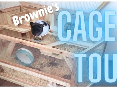 ????CAGE TOUR???? Brownie???? | Brownieho palác