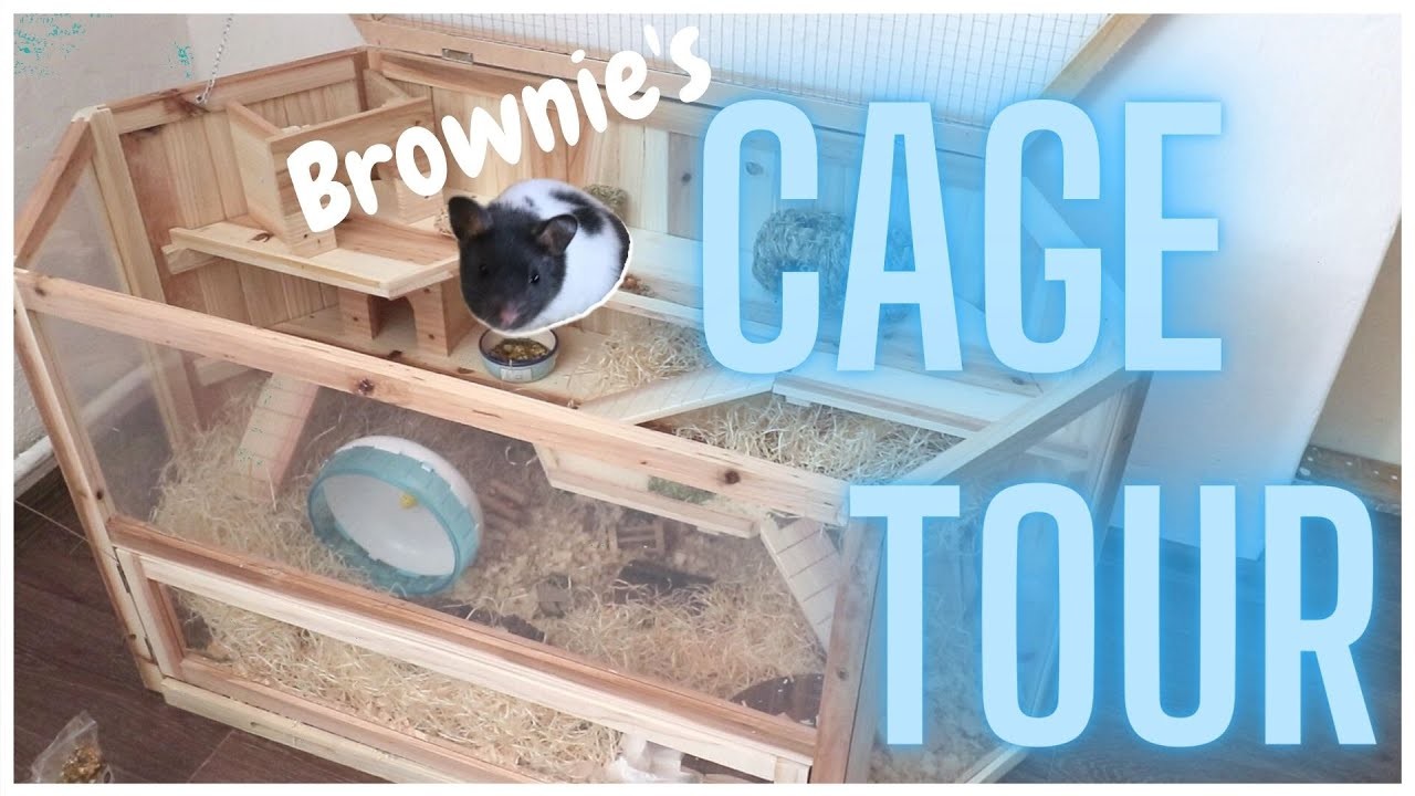 ????CAGE TOUR???? Brownie???? | Brownieho palác