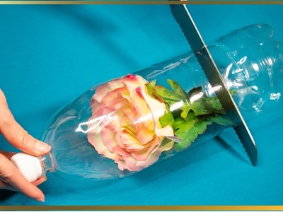 Neuvěřitelný nápad na znovuvyužití plastových lahví - nádherná růže!