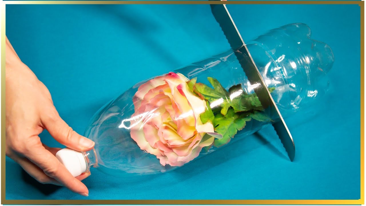 Neuvěřitelný nápad na znovuvyužití plastových lahví - nádherná růže!