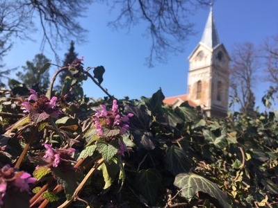 Bošínské bohoslužby Velký pátek 10.4.2020