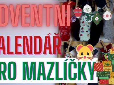 DIY adventní kalendář pro mazlíčky i pro páníčky 2020 | EASY and LOW BUDGET????