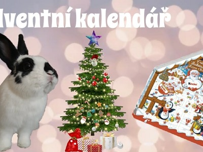 DIY Adventní kalendář | Vánoce 2020