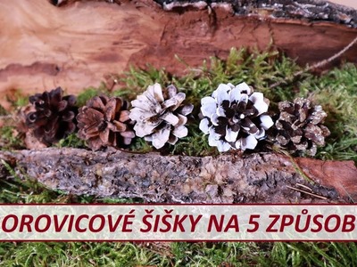 Jak upravit Borovicové šišky na 5 způsobů. DIY. Pine cones 5x differently.
