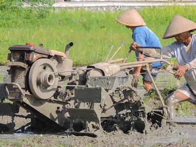 Penuh Lumpur!! Traktor Sawah Rotary Berjalan Berat Di Tanah Penuh Dengan Lumpur