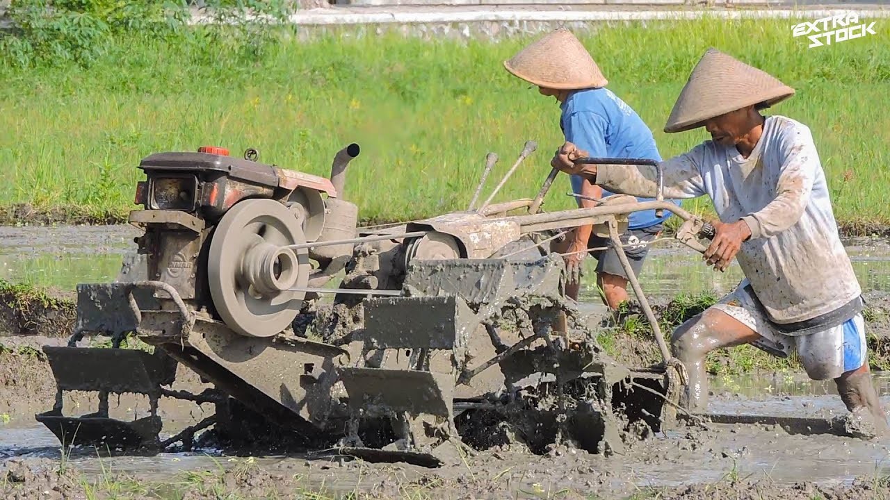 Penuh Lumpur!! Traktor Sawah Rotary Berjalan Berat Di Tanah Penuh Dengan Lumpur