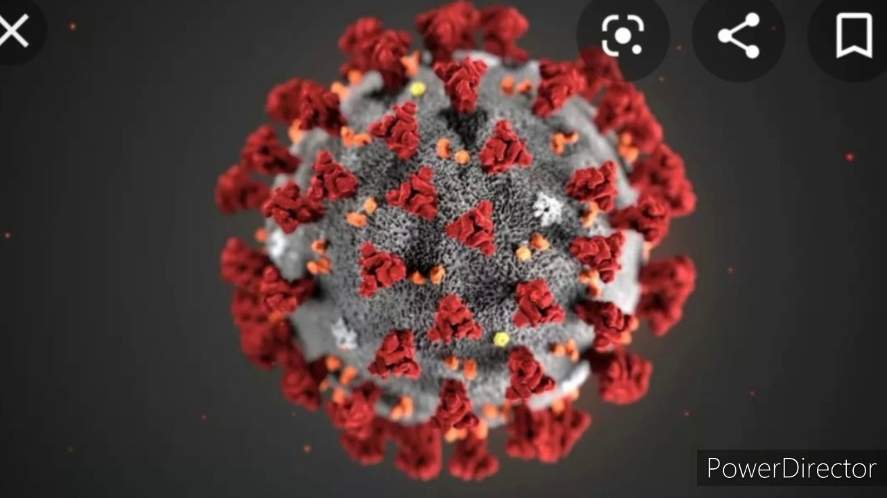 Básnička o koronavirus????