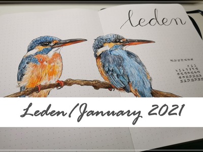 Bullet Journal - Leden | January 2021 | CZ | Ledňáček | Kingfisher theme