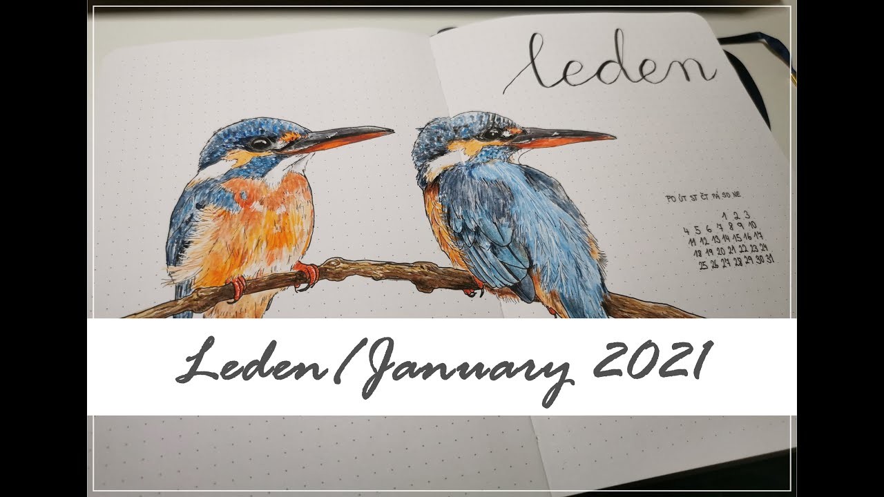 Bullet Journal - Leden | January 2021 | CZ | Ledňáček | Kingfisher theme