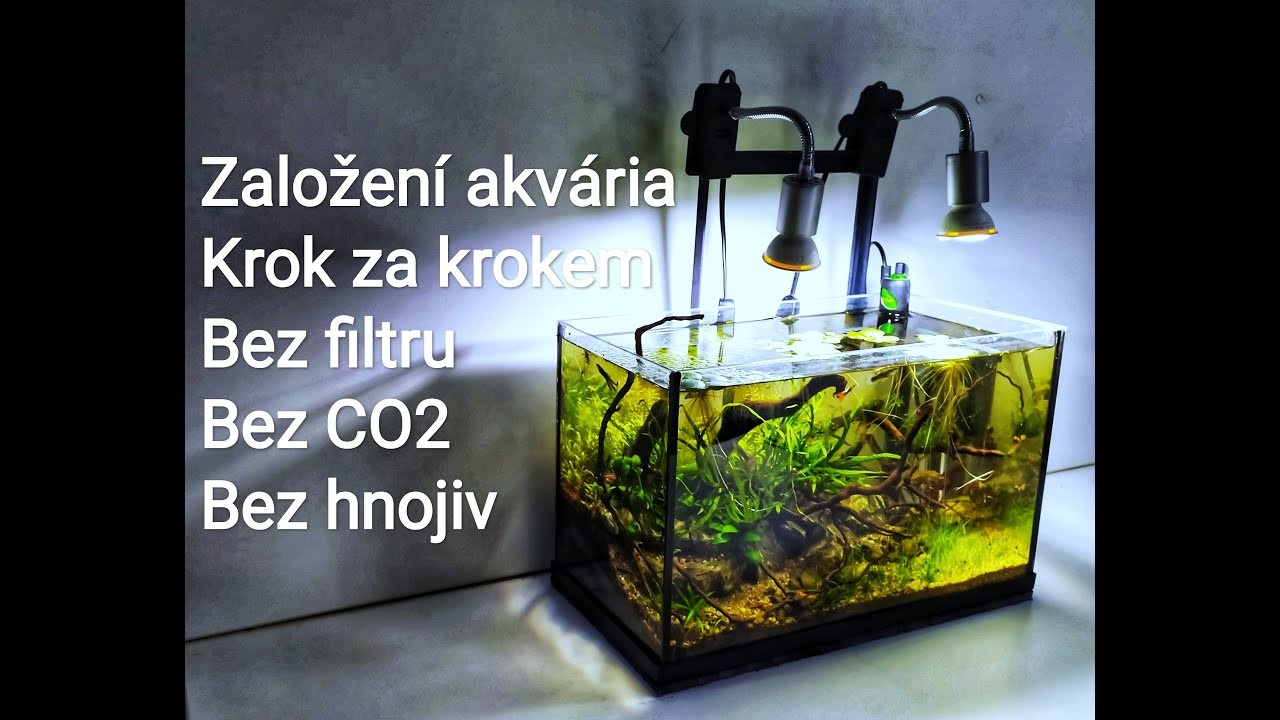 Založení akvária 20l, bez filtrace, hnojiva a CO2 Making aqua,20l, no filter, no fertilizer, no CO2