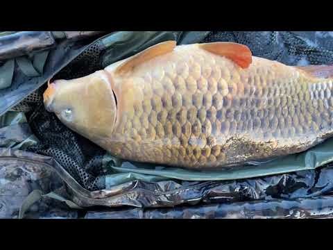 Mastodont Baits - Jarní lov na malé řece