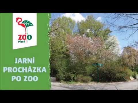 Jarní procházka po zoo