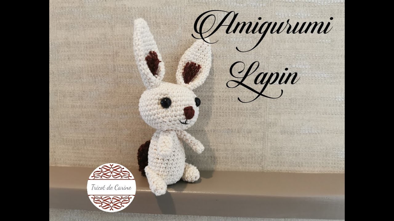 Tuto Crochet " Lapin " (Amigurumi)
