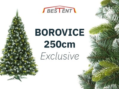 Vánoční stromek Borovice 250cm Exclusive