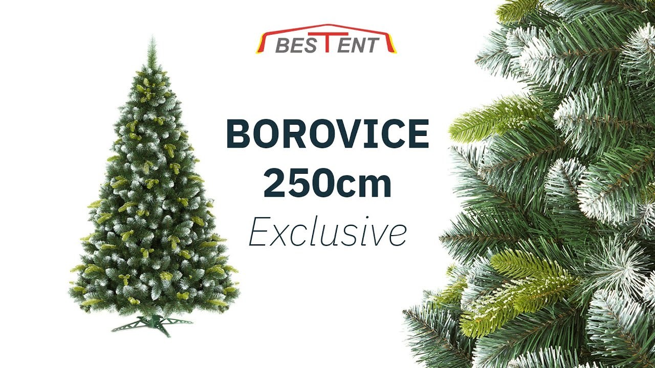 Vánoční stromek Borovice 250cm Exclusive